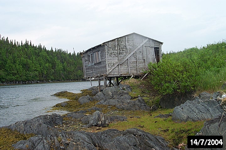An abandoned 20th-century fish store, built on posts over the rocky shore